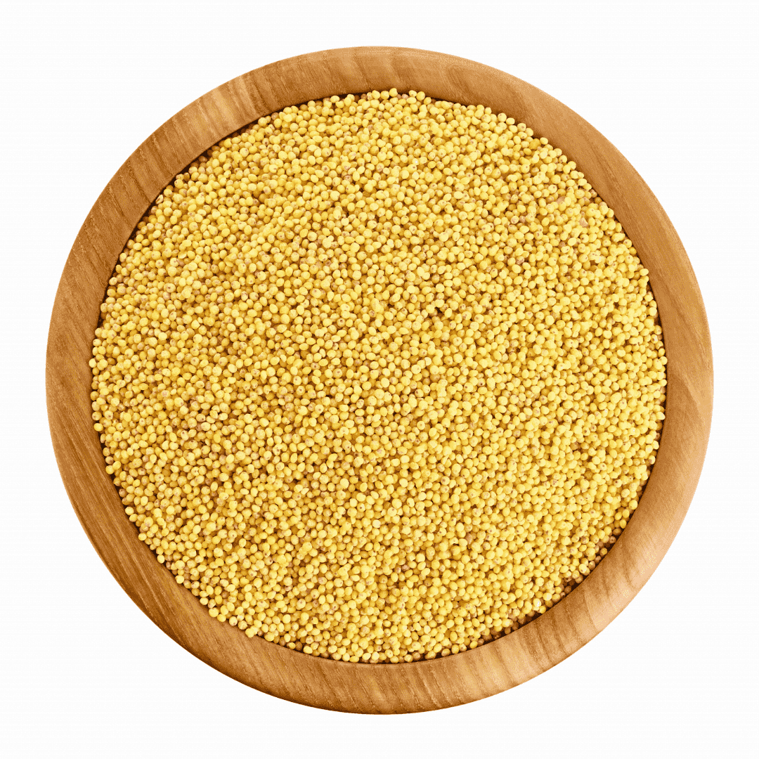 Aahara: Foxtail Millet / Thinai