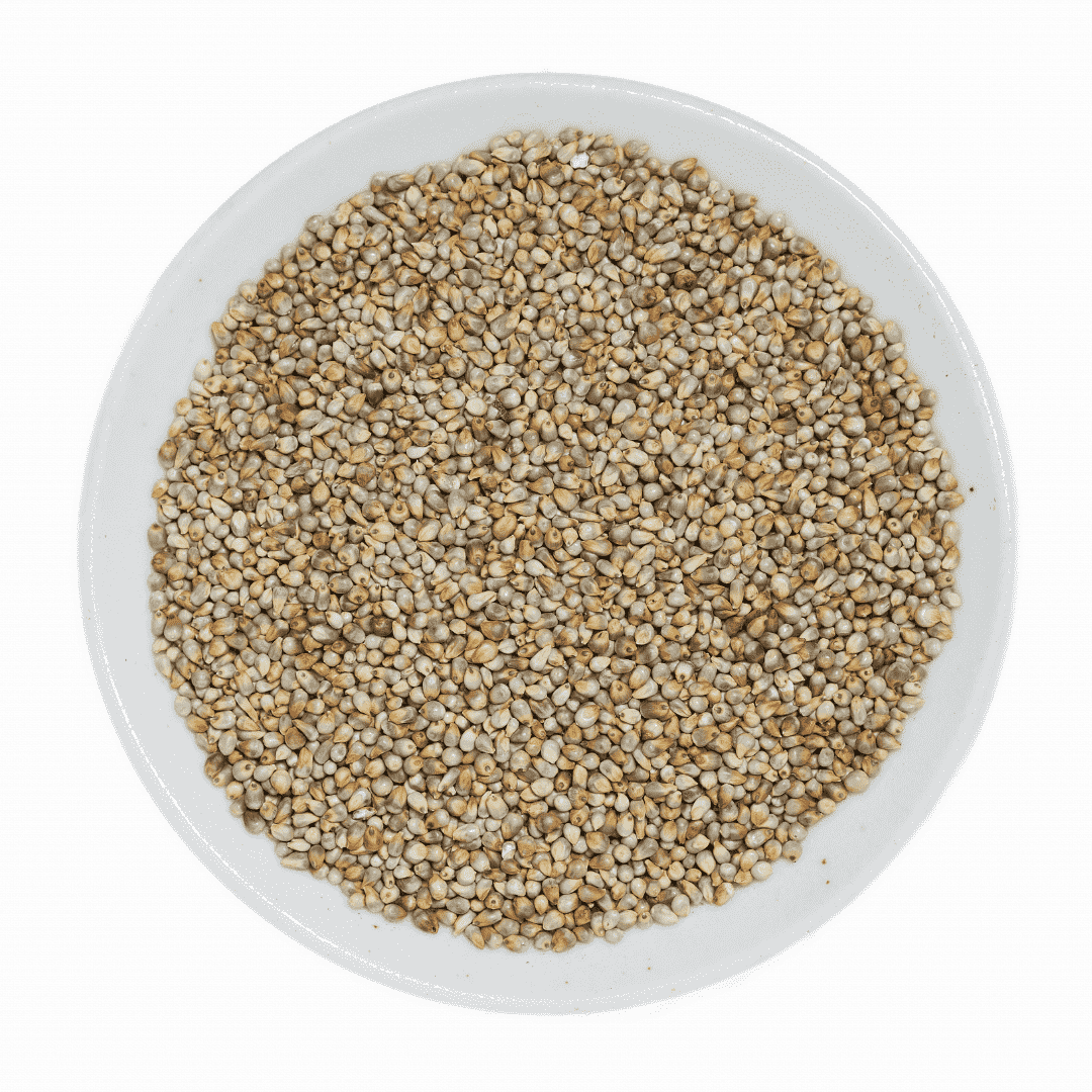 Aahara: Pearl Millet / Kambu / Bajra