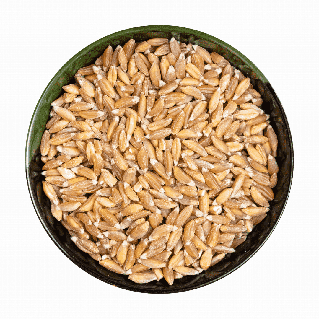 Aahara: Samba Kodhumai / Emmer Wheat