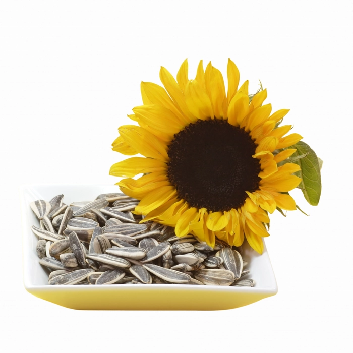 Aahara: Sunflower seeds